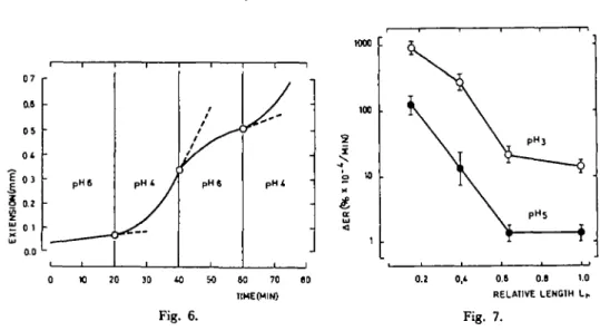 Fig. 6. Effect of pH changes on the extension (absolute values) of isolated fresh colloyctes prepared from kigh- kigh-growing petioles (F=8g).