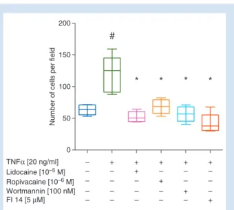 Fig 4 () Amount of MMP-9 (in pg normalized to mg of cell protein content) in cell culture supernatants of NCI-H838 cells treated with 100 nM Wortmannin (an inhibitor of phosphoinositide-3 kinase) or 5 µM FI 14 in absence (green bars) or presence (blue bar