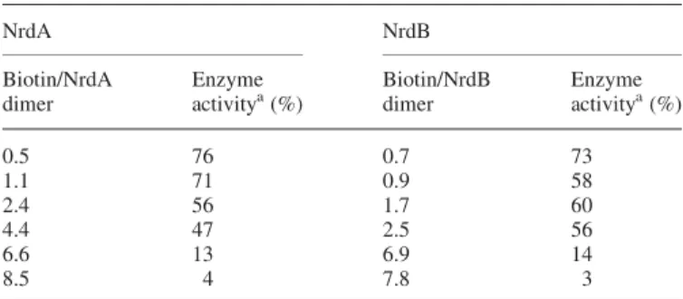 Table II. Effect of biotinylation on enzyme activity of E.coli NrdA and NrdB proteins NrdA NrdB Biotin/NrdA dimer Enzymeactivitya (%) Biotin/NrdBdimer Enzymeactivitya (%) 0.5 76 0.7 73 1.1 71 0.9 58 2.4 56 1.7 60 4.4 47 2.5 56 6.6 13 6.9 14 8.5 4 7.8 3