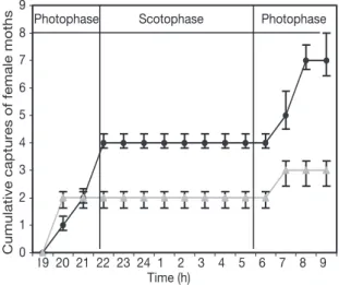 Fig. 2. Time course of cumulative captures of mated female Cydia molesta (dual choice arena bioassay) in the odour chamber containing a peach shoot (— • ) compared to a blank (— ).