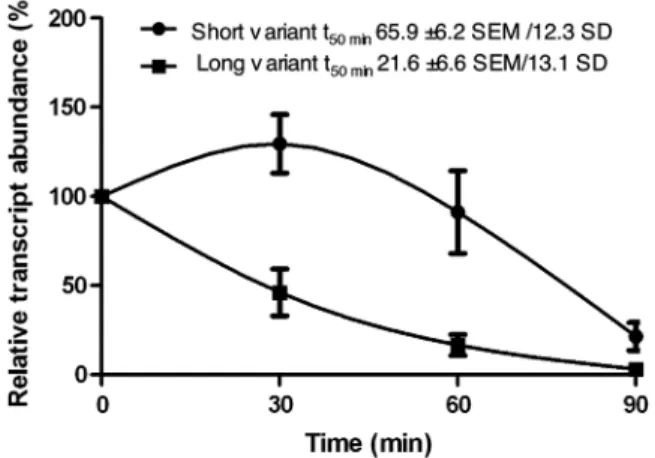 Figure 5. Stability assay of Tb-IleRS mRNA. qPCR analysis of the long and short splice variant mRNA abundance at 0, 30, 60 and 90 min post-actinomycin D treatment