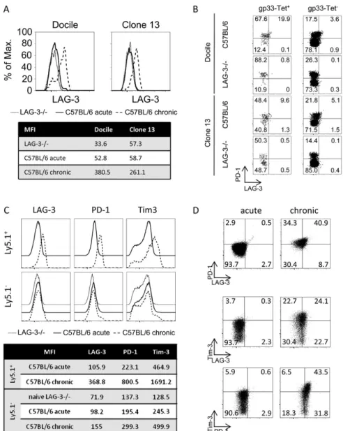 Fig. 2A) and after Docile infection (Fig. 2B). Likewise, similar frequencies of CD8 T cells secreting IFN-c (Fig