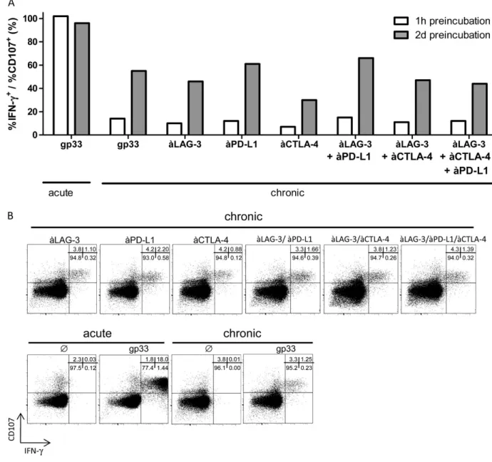 Fig. 4. Short-term stimulation of CD8 T cells in the presence of a blocking antibody directed against LAG-3 does not rescue exhausted phenotype