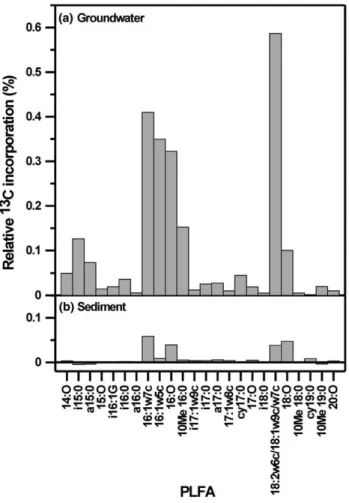 Fig. 5. Incorporation of 13 C into PLFA extracted from: (a) ground- ground-water samples and (b) sediment samples.