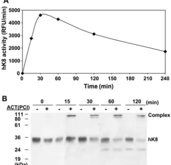 Figure 1 Activation conditions for human kallikrein 8.