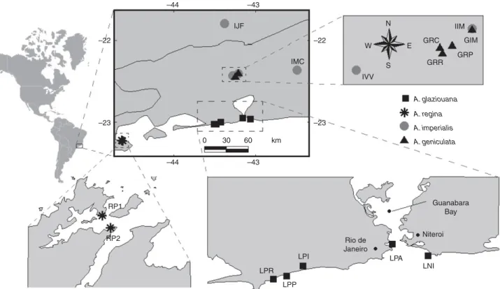 Fig. 1). Of these, data for seven coastal inselberg populations of A. glaziouana and A