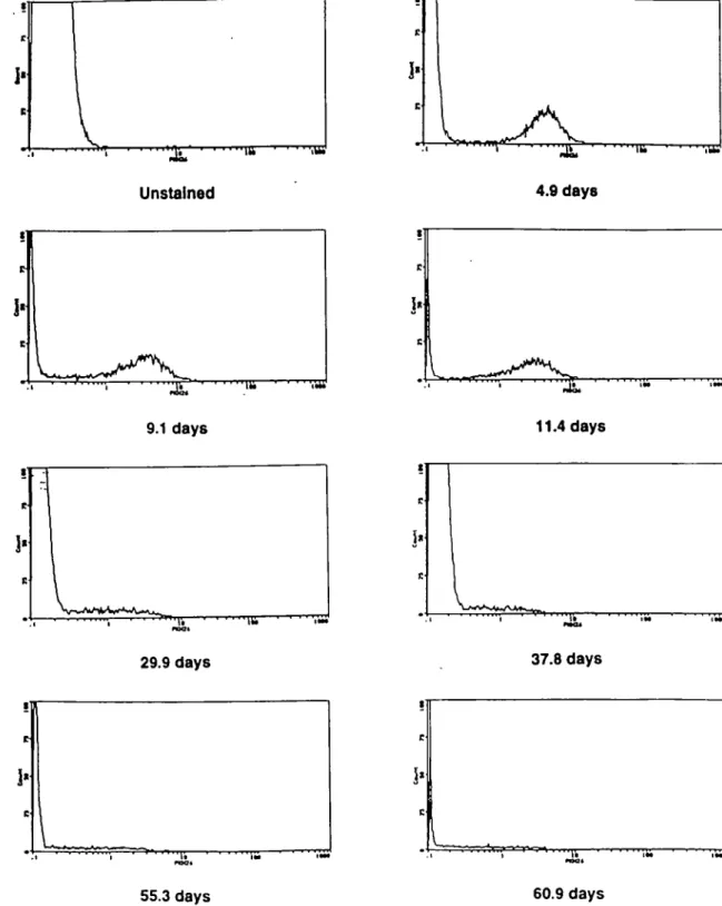 Fig. 1. Histograms depicting representative plots of fluorescence intensity of cells recovered in efferent s.c