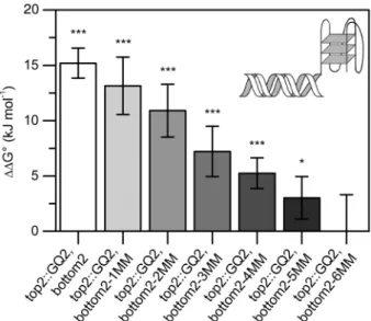 Figure 4. G-quadruplex-induced duplex destabilization of a modiﬁed c-kit fragment. A G-quadruplex strongly destabilizes the adjacent duplex (top2::GQ2, bottom2)