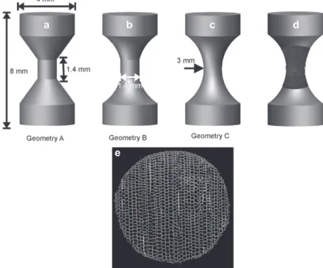 Figure 1     Wood sample geometries with different connections between the bases. (a) Straight, (b) curved to straight, (c) curved, (d) fi eld of  view of a sample with regard to the sample size, (e) cross section of compressed sample