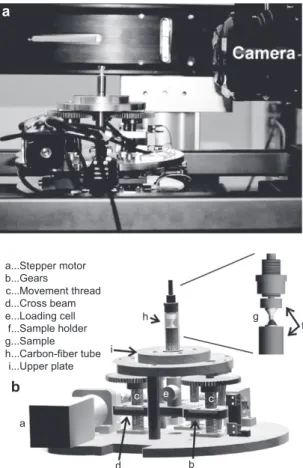 Figure 2     (a) Loading device mounted on the cross table of the  beamline  –  without surrounding tube