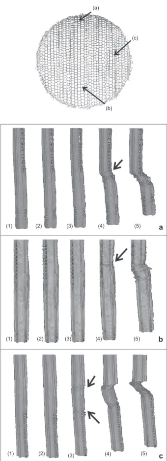 Figure 3     Successive tomographies of a sample at increasing force  levels. Left column radial and right tangential view; (a) and (b) initial  state, (c) to (l) 1