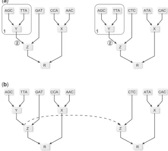 Fig. 2. Subtrees reuse strategy depicted for two (not necessarily neighbor- neighbor-ing) sites in the MSA; in (a) subtree (1) contains identical codons for both sites; consequently, in (b) the CPVs for both sites are identical and need to be computed only