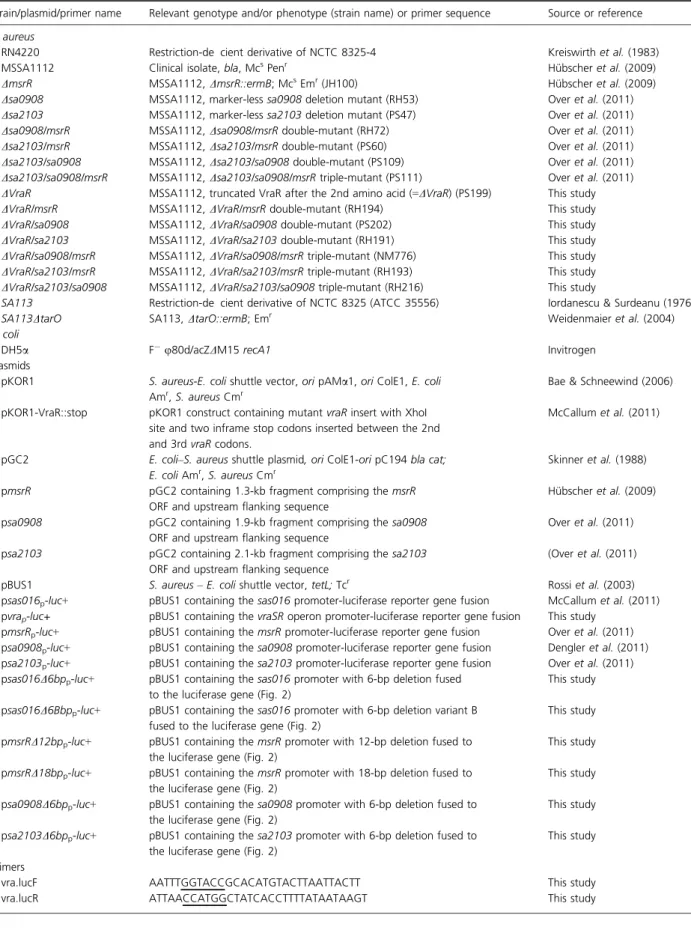 Table 1. Strains, plasmids and primers