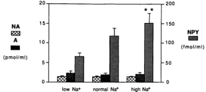 FIGURE 1. Comparison of plasma concentrations of NPY with  catecholamines in rats kept on low (n = 10), normal (n = 12), and  high (n = 14) sodium diets
