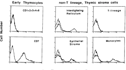 Fig. 2. Early thymocytes can be separated from thymic stroma using anti-CD7 antibodies
