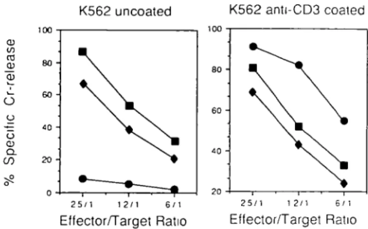 Fig. 6. The CD3 -16  +  progeny of early thymocytes have the functional features of NK cells