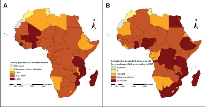 Fig. 1. Country-speciﬁc prevalence estimates for schistosomiasis in Africa, stratiﬁed into low-prevalence (&lt;10 %), moderate-prevalence (10.0–49.9 %) and high-prevalence ( o 50 %) in mid-2003 (A) (source : Steinmann et al