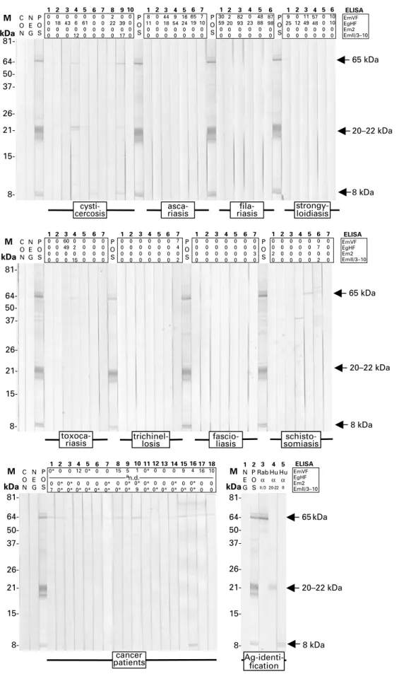 Fig. 1 (Cont.). EmVF-, EgHF, Em2-, and II/3–10-ELISA values of the individual sera are listed on top of each strip.