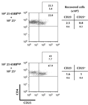 Fig. 4. The fraction of the sorted CD25 + cells that maintains CD25 expression is inversely correlated with their own fraction in the inoculum