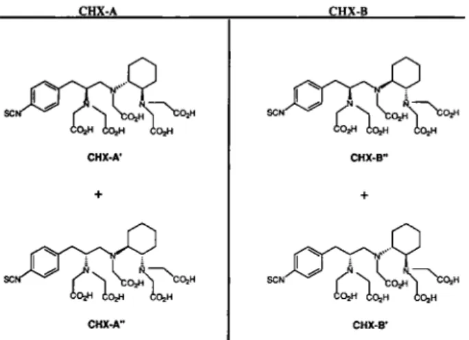 Fig. 1. Structure of the C-functionalized CyDTPAs,  C H X - A  DTPA and  C H X - B DTPA, and their constituent enantiomers 