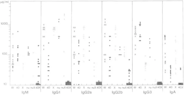 Fig. 5. Serum Ig levels of wild-type, single mutant CD40T and XID, and double mutant XID/CD40T and XID/nu mice