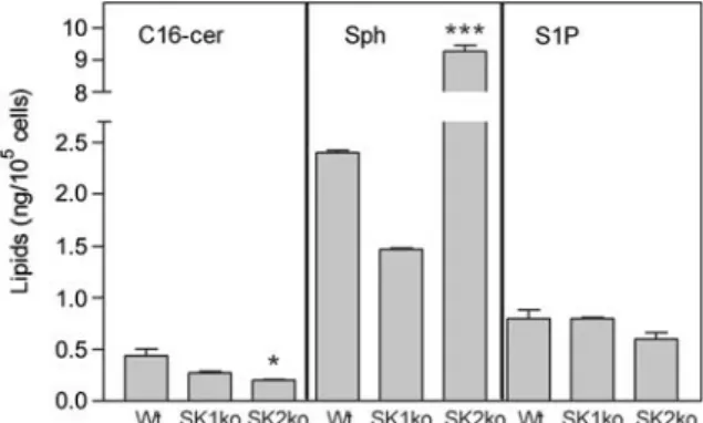 Figure 6 Quantification of S1P, sphingosine and C16-ceramide in wild-type, SK-1-deficient and SK-2-deficient mice.