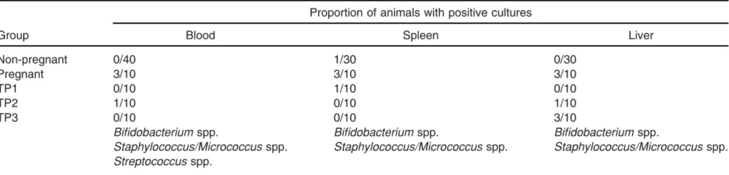 Table 1. Bacterial translocation to extra-intestinal tissues during pregnancy and lactation