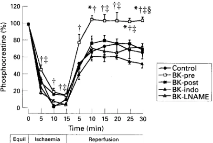 Figure  4  Relative  changes  of  phosphocreatine  during  ischaemia  and  repetjiision  in  control  (n = S),  and  with  preischaemic  administration  of  bradykinin  (BK-pre,  n = 6j,  postischaemic  ad-  ministration  of  bradykinin  (BK-post,  n = 6),