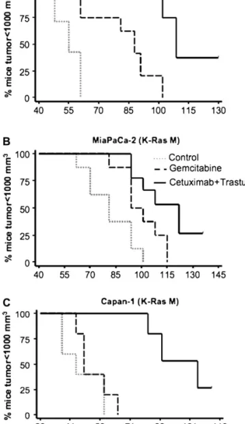 Figure 1. Kaplan–Meier survival curves of first-line combined anti- anti-epidermal growth factor receptor and anti-HER2 monoclonal antibodies versus gemcitabine therapy