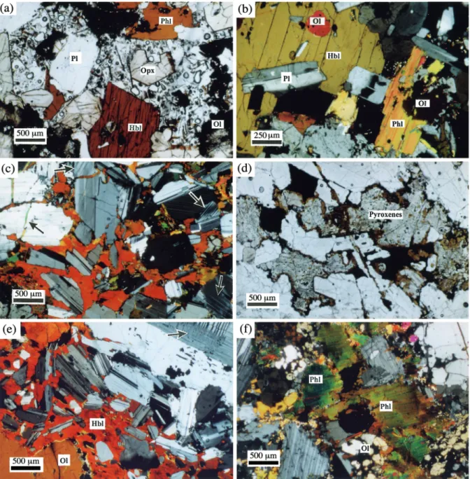 Fig. 4. Photomicrographs of the xenoliths. Group I: (a) vesiculated interstitial SiO 2 -rich glass ( &gt; 66–72 wt %) in contact with euhedral orthopyroxene (Opx), hornblende (Hbl) and phlogopite (Phl)