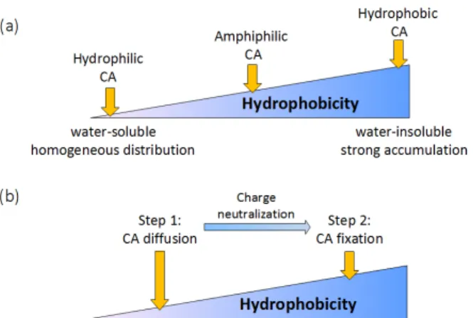 Table  1:  Summary  of  the  different  scaffolds  and  strategies  investigated. Checks indicate promising protocols