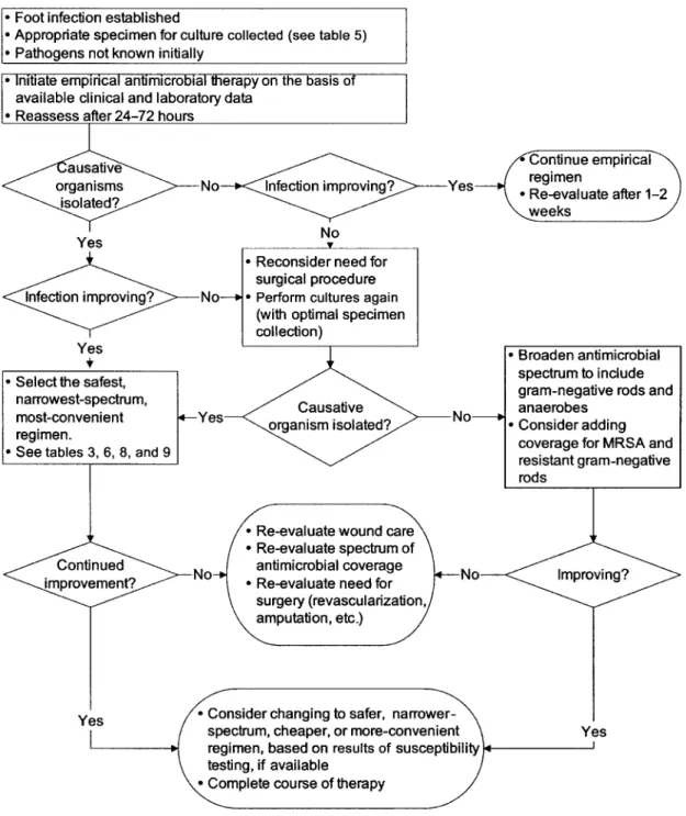 Figure 4. Algorithm 2: approach to selecting antibiotic therapy for a diabetic patient with a foot infection