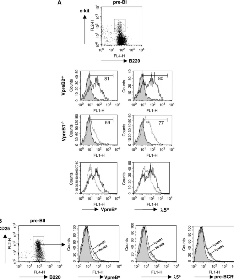 Fig. 3. Comparative FACS analysis of surface expression levels of VpreB, k5 and pre-BCR in VpreB2 / and VpreB1 / mice