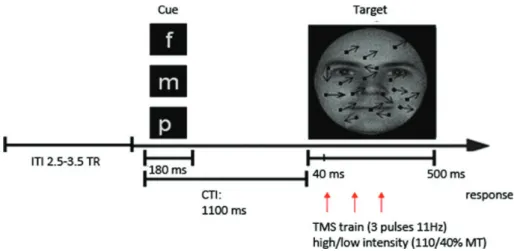 Figure 1. Schematic example of a single trial. Participants were instructed either to attend the gender of a face (as indicated by “ f ” cue) or the motion direction ( “ m ” cue) in a ﬁ eld of dots (containing 20% random motion) or passively view the displ