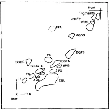 Fig. 1 2-dim. TLC oflipids from Ochromonas danica.