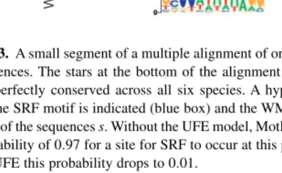 Fig. 3. A small segment of a multiple alignment of orthologous mammalian sequences. The stars at the bottom of the alignment indicate columns that are perfectly conserved across all six species