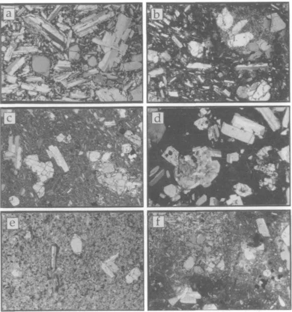 Fig. 4. Photomicrographi ihowing characteristic textures of Cord6n El Guadal lavas and indusions