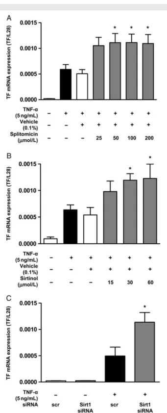 Figure 4 Sirt1 inhibition increases TF promoter activity. (A and B) TNF-a increases the activity of the minimal TF promoter