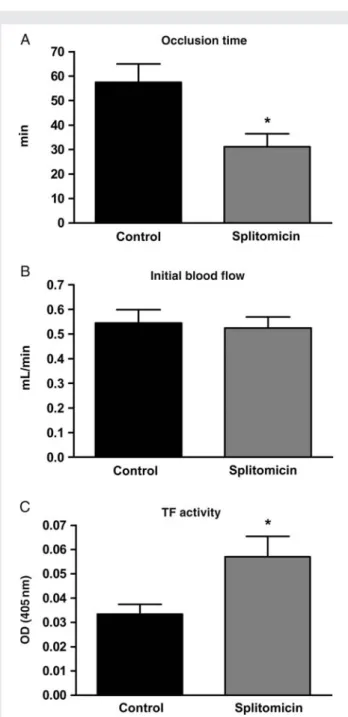 Figure 6 Sirt1 inhibition accelerates arterial thrombus formation.