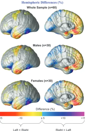 Figure 1 displays the average distribution of local hemispheric differences in cortical thickness as a percent difference