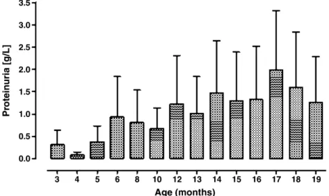 Fig. 6. Proteinuria in ageing MRL/MpJ +/+ mice. Proteinuria in MRL/MpJ +/+ mice was determined using dipstick analyses