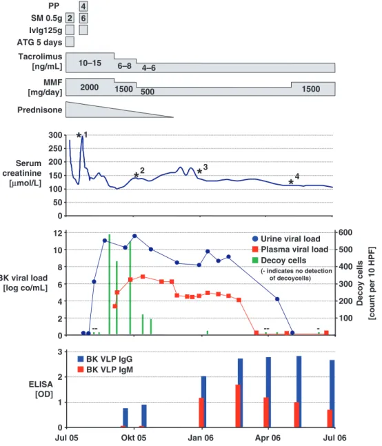 Fig. 1. Course of immunosuppressive therapy, allograft function, BK-virus activity and BK-virus serology within the first year after transplantation