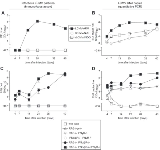 Fig. 1C). In contrast, serum from IFNa/bR / IFNcR / mice (free of detectable viral RNA) served as a negative control and failed to transfer infection to RAG / IFNa/bR / IFNcR / mice, confirming that type I and II IFNs were dispensable for eliminating rLCMV