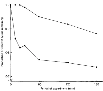 Fig. 2.  Proportion of FDNB-reactive lysine remaining in caseinxaffeic acid systems reacted for different  times