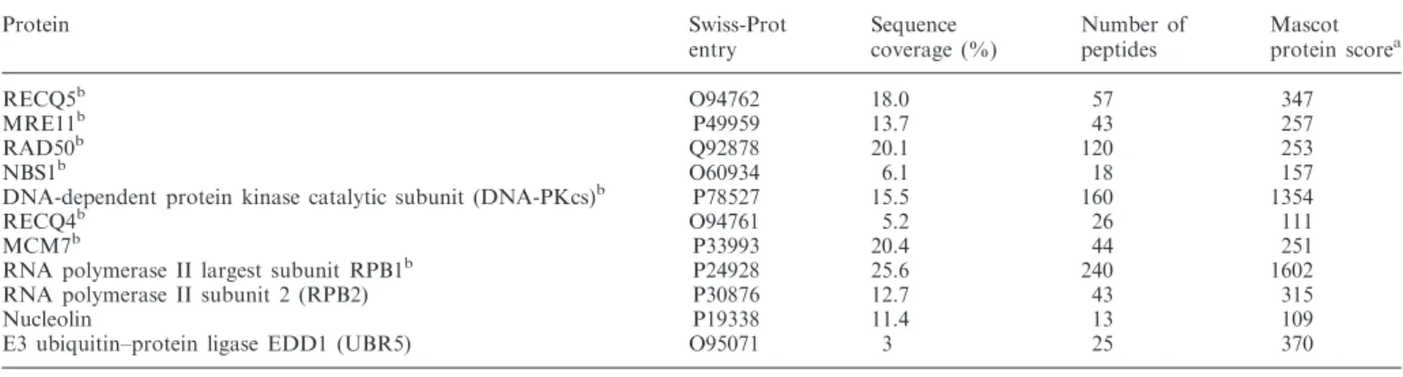 Table 1. A selection of proteins identiﬁed by mass spectrometric analysis of the RECQ5 immunoprecipitate from 293T cells