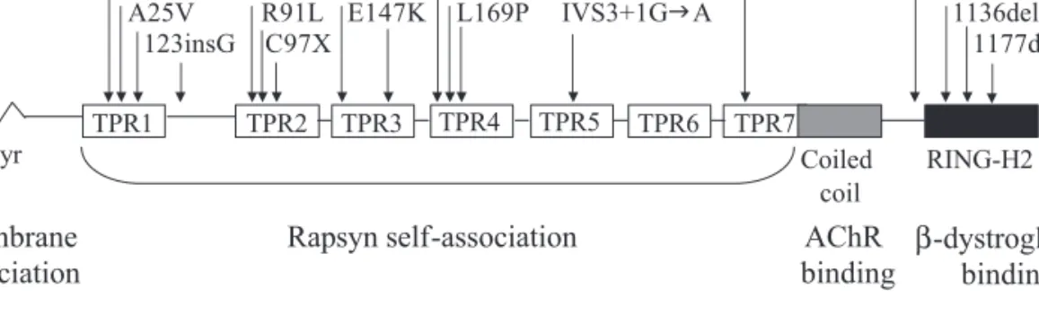 Table 1 Patient data