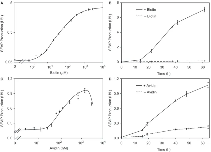 Figure 6. Vitamin H-responsive transgene expression in standard culture environments containing natural biotin levels