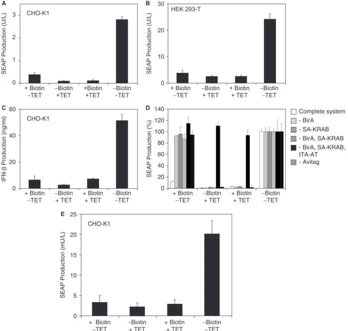 Figure 2. Functional validation of vitamin H-responsive expression technology. (A) 40 000 CHO-K1 cells were co-transfected with plasmids pWW944, pWW938, pMF111 and pWW804 (see Figure 1A) and cultivated in biotin-free medium supplemented with (+) or without