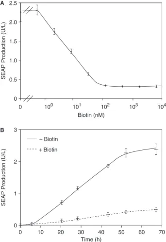 Figure 3. Analysis of vitamin H-responsive transgene expression.