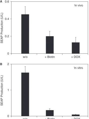 Figure 4. In vivo validation of vitamin H-responsive gene expression.